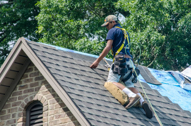 Best Emergency Roof Repair  in Reinbeck, IA